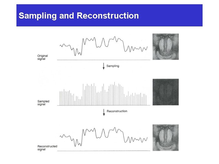 Sampling and Reconstruction 