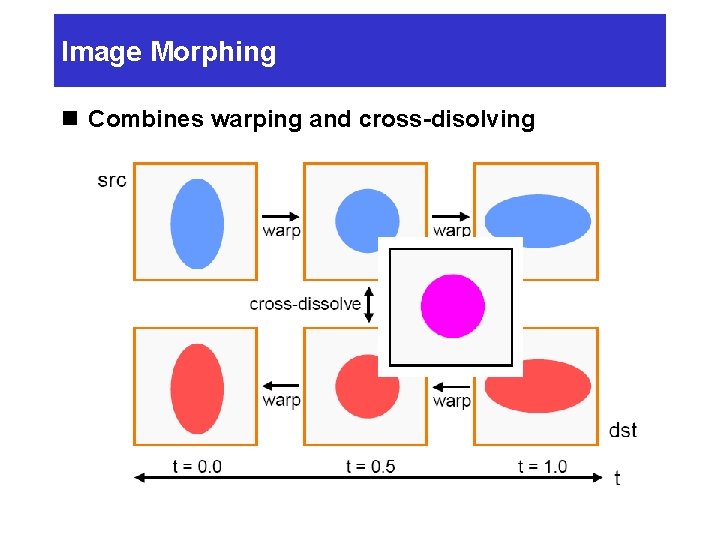 Image Morphing n Combines warping and cross-disolving 