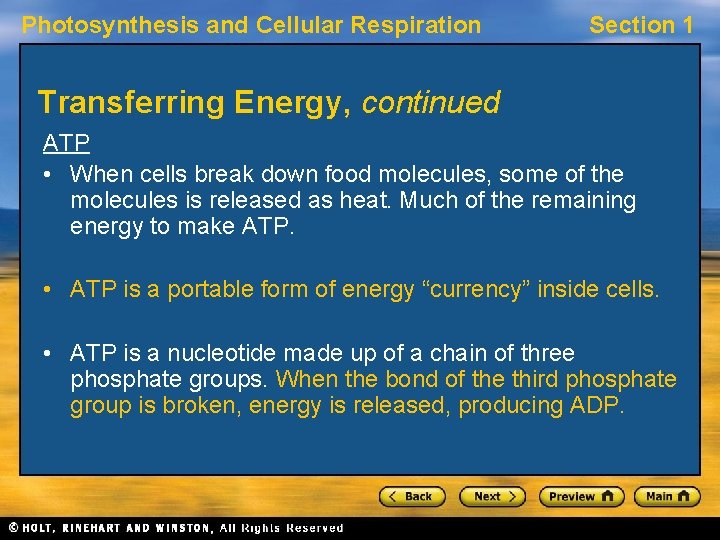 Photosynthesis and Cellular Respiration Section 1 Transferring Energy, continued ATP • When cells break