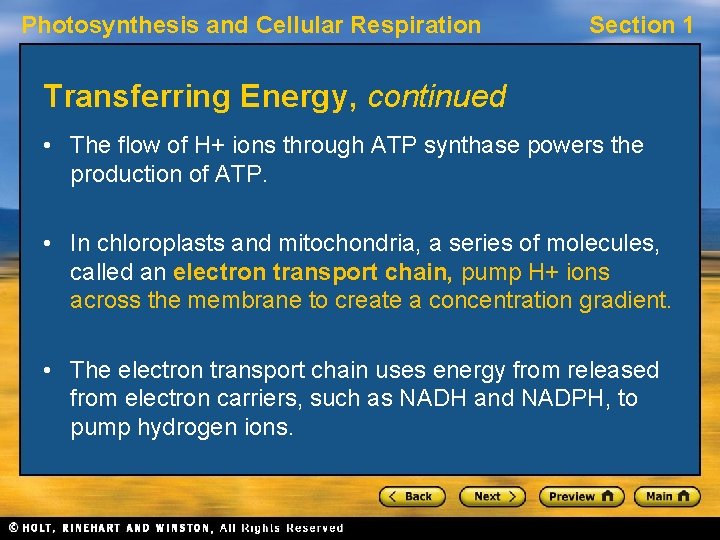 Photosynthesis and Cellular Respiration Section 1 Transferring Energy, continued • The flow of H+