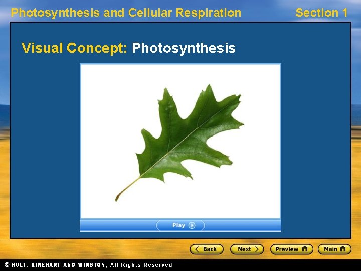 Photosynthesis and Cellular Respiration Visual Concept: Photosynthesis Section 1 