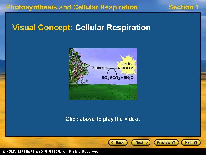 Photosynthesis and Cellular Respiration Visual Concept: Cellular Respiration Click above to play the video.