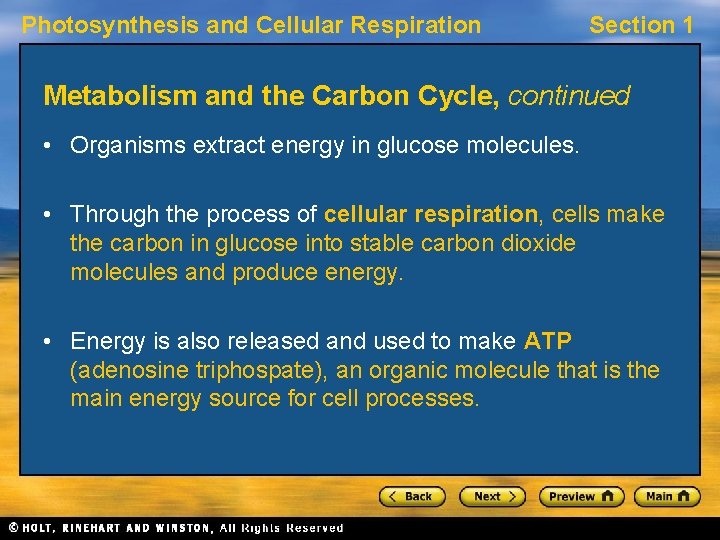 Photosynthesis and Cellular Respiration Section 1 Metabolism and the Carbon Cycle, continued • Organisms