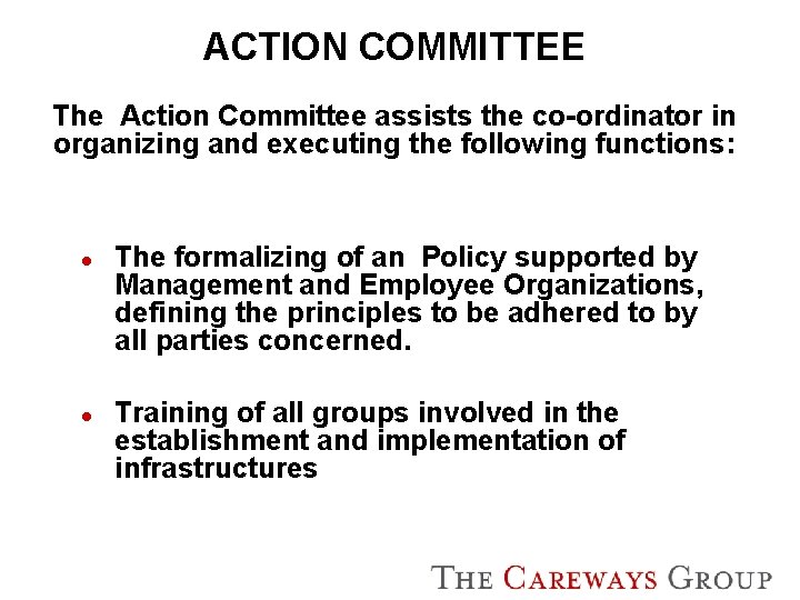 ACTION COMMITTEE The Action Committee assists the co-ordinator in organizing and executing the following