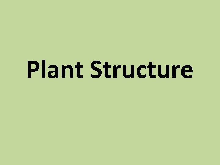 Plant Structure 