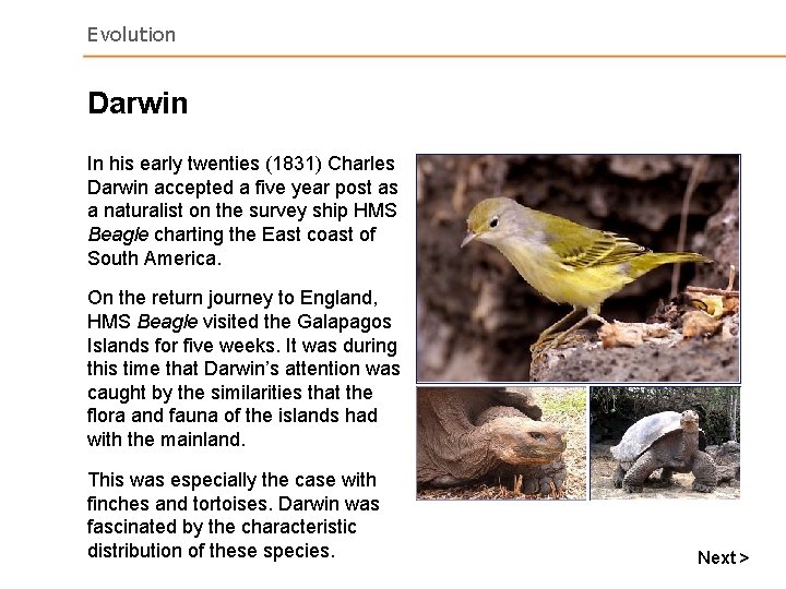 Evolution Darwin In his early twenties (1831) Charles Darwin accepted a five year post