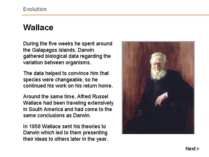 Evolution Wallace During the five weeks he spent around the Galapagos islands, Darwin gathered