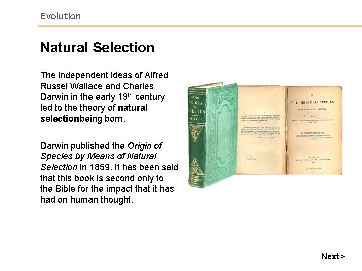 Evolution Natural Selection The independent ideas of Alfred Russel Wallace and Charles Darwin in