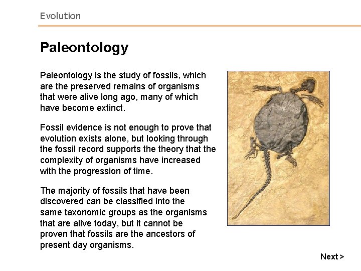 Evolution Paleontology is the study of fossils, which are the preserved remains of organisms