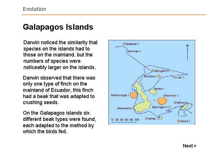 Evolution Galapagos Islands Darwin noticed the similarity that species on the islands had to