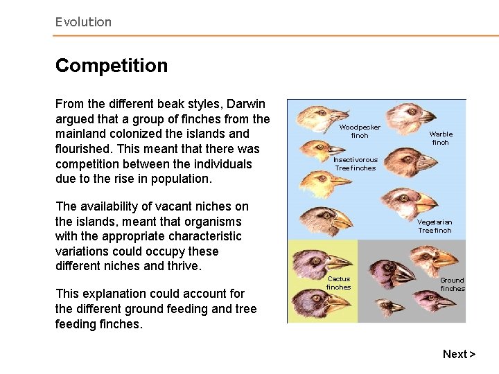 Evolution Competition From the different beak styles, Darwin argued that a group of finches