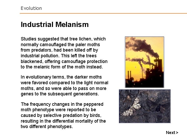 Evolution Industrial Melanism Studies suggested that tree lichen, which normally camouflaged the paler moths