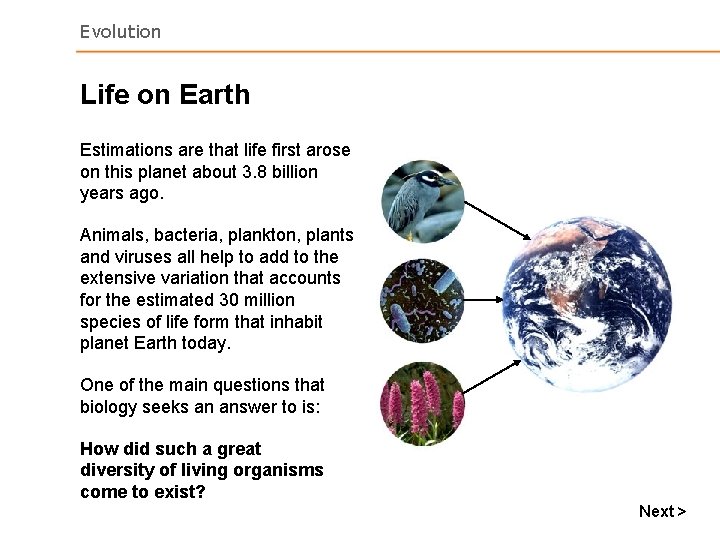 Evolution Life on Earth Estimations are that life first arose on this planet about