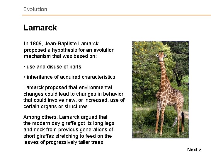 Evolution Lamarck In 1809, Jean-Baptiste Lamarck proposed a hypothesis for an evolution mechanism that