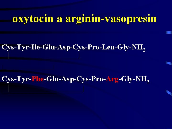 oxytocin a arginin-vasopresin Cys-Tyr-Ile-Glu-Asp-Cys-Pro-Leu-Gly-NH 2 Cys-Tyr-Phe-Glu-Asp-Cys-Pro-Arg-Gly-NH 2 