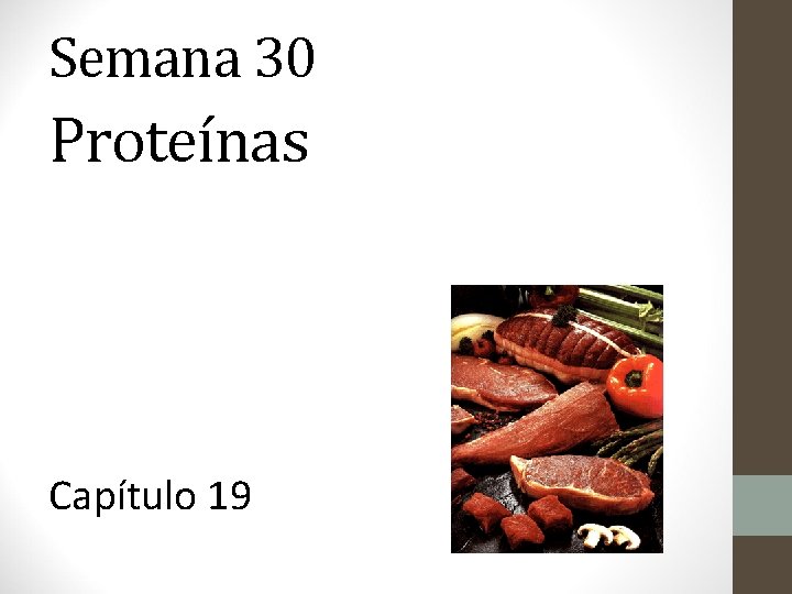 Semana 30 Proteínas Capítulo 19 