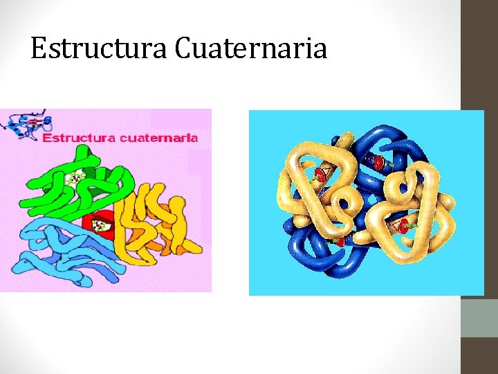 Estructura Cuaternaria 