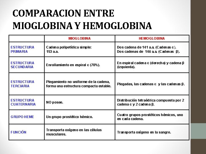 COMPARACION ENTRE MIOGLOBINA Y HEMOGLOBINA MIOGLOBINA HEMOGLOBINA ESTRUCTURA PRIMARIA Cadena polipetídica simple: 153 a.