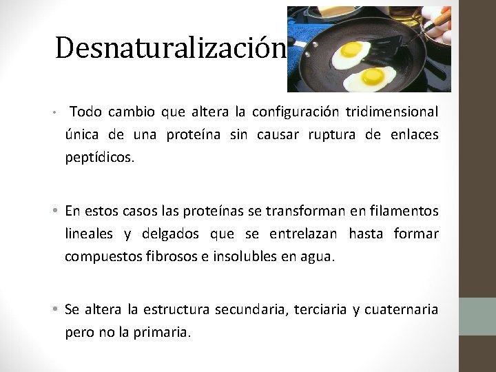 Desnaturalización: • Todo cambio que altera la configuración tridimensional única de una proteína sin