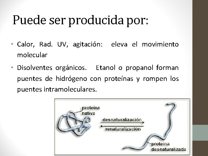 Puede ser producida por: • Calor, Rad. UV, agitación: molecular eleva el movimiento •