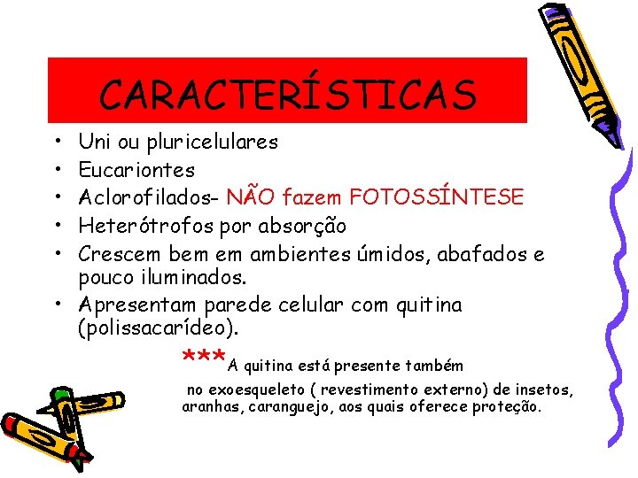 CARACTERÍSTICAS • • • Uni ou pluricelulares Eucariontes Aclorofilados- NÃO fazem FOTOSSÍNTESE Heterótrofos por