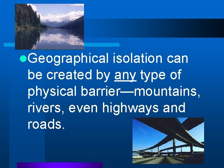 l. Geographical isolation can be created by any type of physical barrier—mountains, rivers, even l. Geographical isolation can be created by any type of physical barrier—mountains, rivers, even