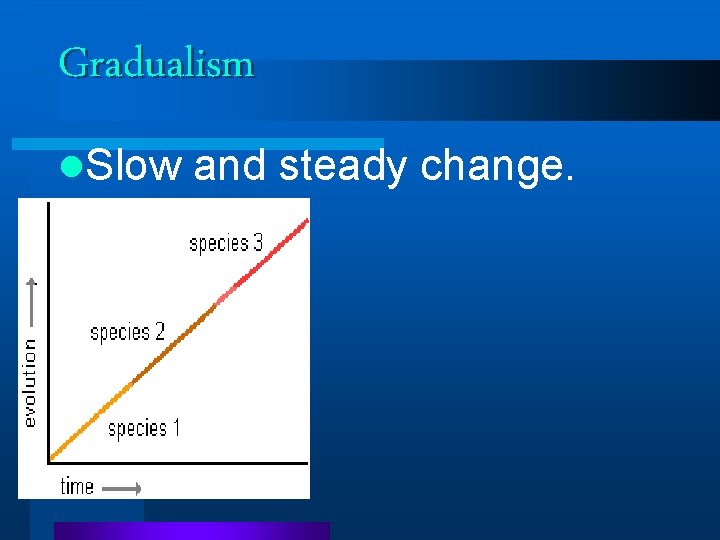 Gradualism l. Slow and steady change. Gradualism l. Slow and steady change.