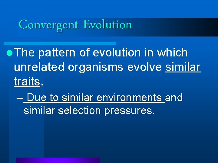 Convergent Evolution l The pattern of evolution in which unrelated organisms evolve similar traits. Convergent Evolution l The pattern of evolution in which unrelated organisms evolve similar traits.