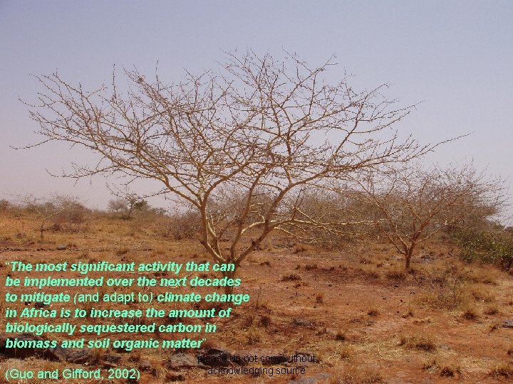 “The most significant activity that can be implemented over the next decades to mitigate