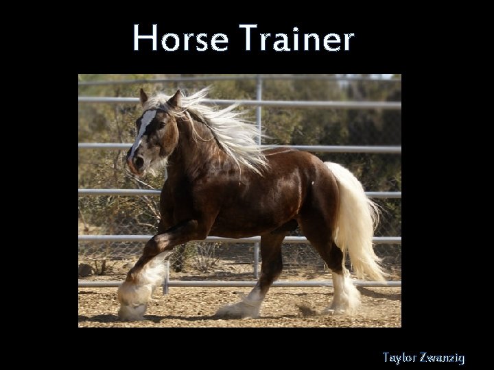 Horse Trainer Taylor Zwanzig 