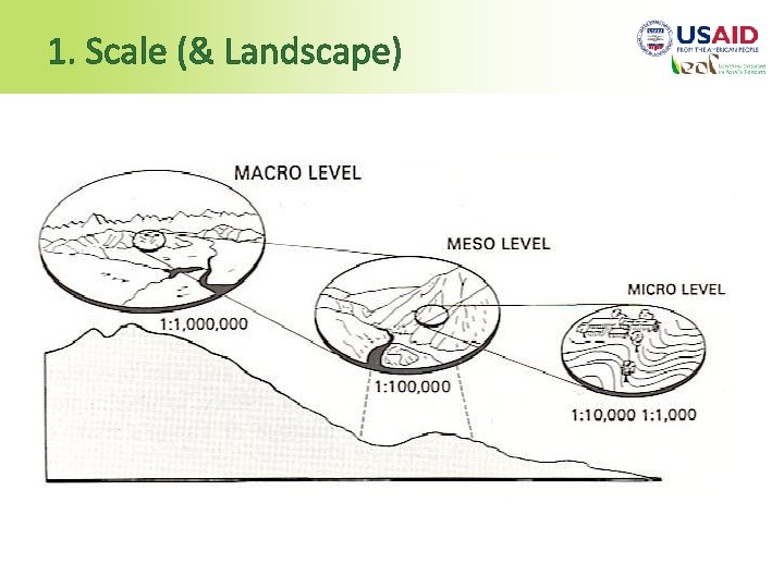 1. Scale (& Landscape) 