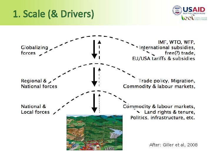 1. Scale (& Drivers) After: Giller et al, 2008 