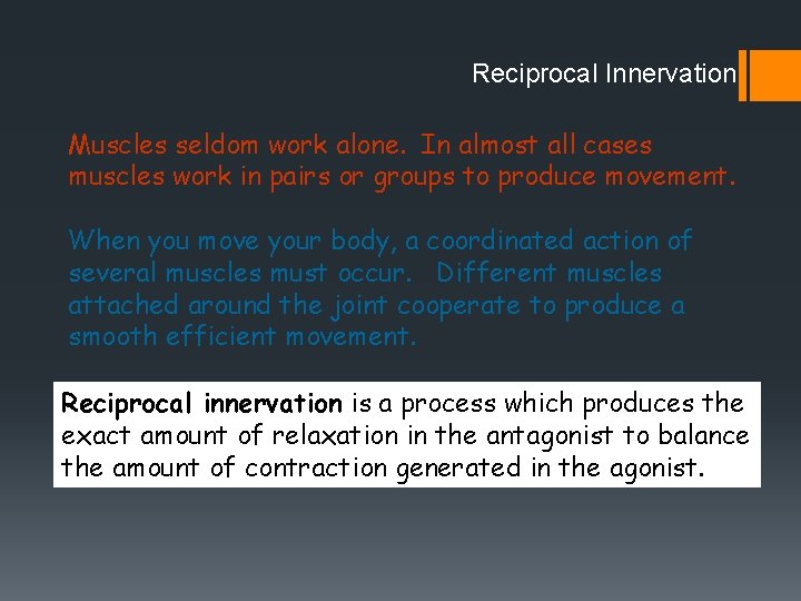 Reciprocal Innervation Muscles seldom work alone. In almost all cases muscles work in pairs Reciprocal Innervation Muscles seldom work alone. In almost all cases muscles work in pairs
