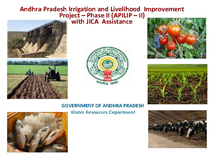 Andhra Pradesh Irrigation and Livelihood Improvement Project – Phase II (APILIP – II) with