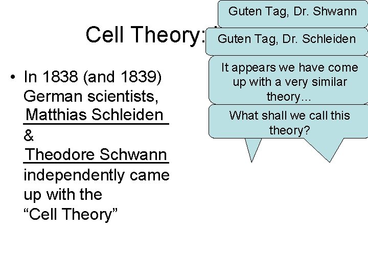 Guten Tag, Dr. Shwann Cell Theory: History Guten Tag, Dr. Schleiden • In 1838