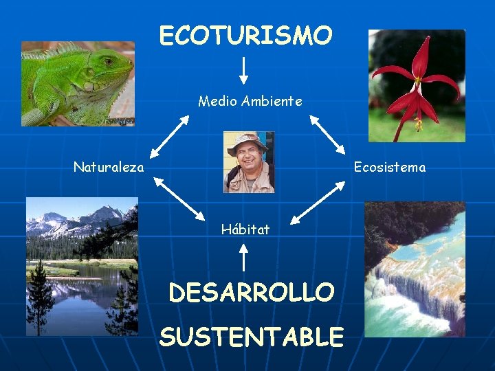 ECOTURISMO Medio Ambiente Naturaleza Ecosistema Hábitat DESARROLLO SUSTENTABLE 