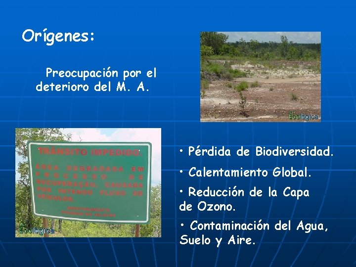 Orígenes: Preocupación por el deterioro del M. A. • Pérdida de Biodiversidad. • Calentamiento