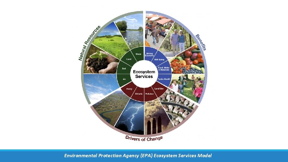 Environmental Protection Agency (EPA) Ecosystem Services Model 
