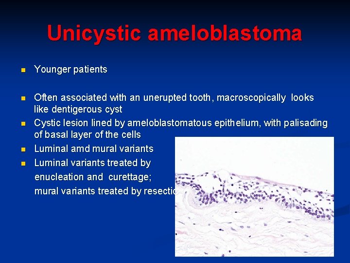 Unicystic ameloblastoma n Younger patients n Often associated with an unerupted tooth, macroscopically looks