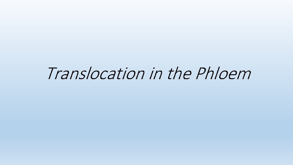 Translocation in the Phloem 