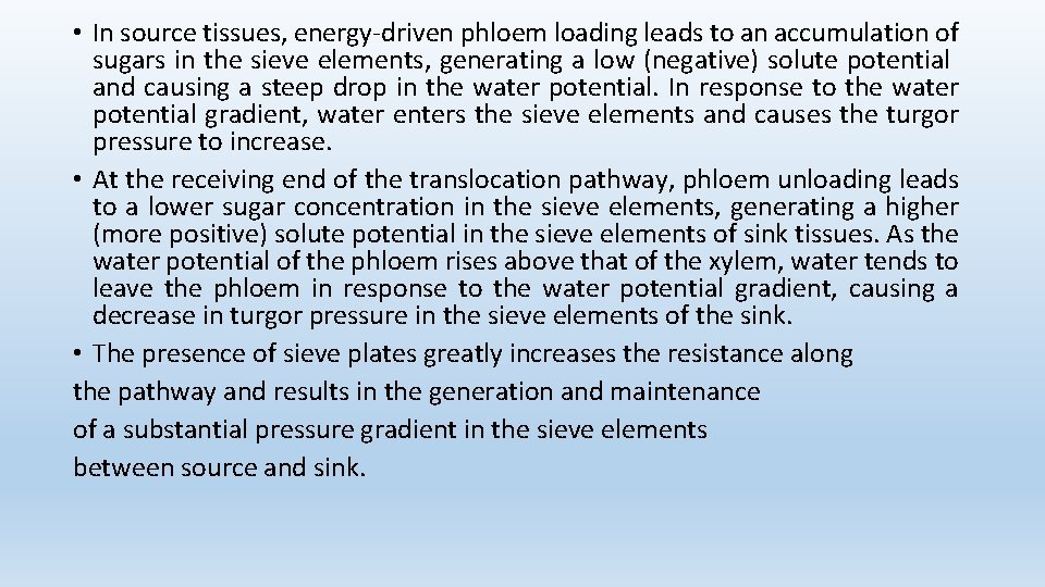  • In source tissues, energy-driven phloem loading leads to an accumulation of sugars