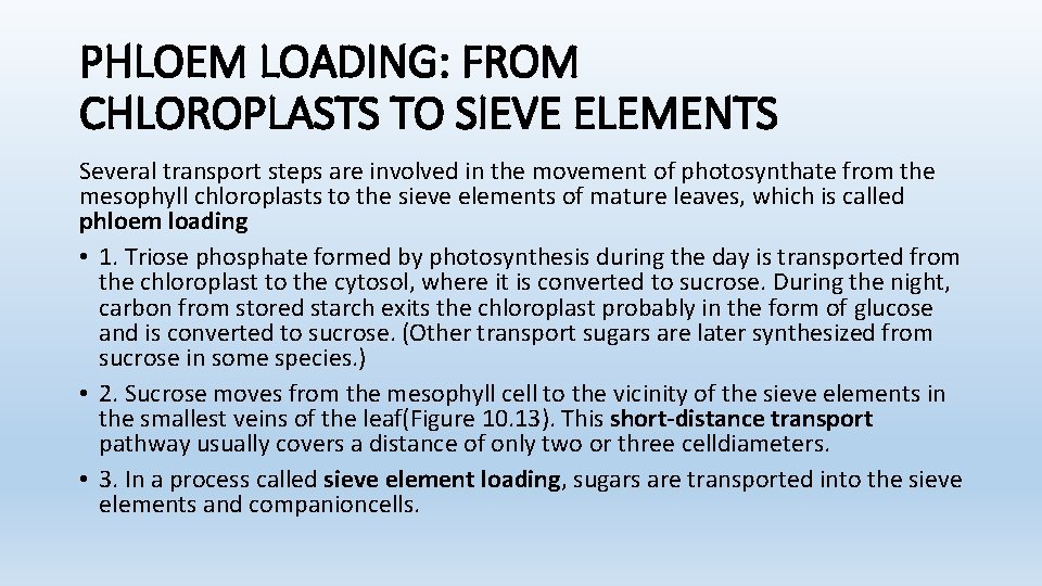 PHLOEM LOADING: FROM CHLOROPLASTS TO SIEVE ELEMENTS Several transport steps are involved in the