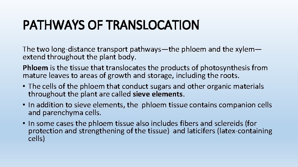 PATHWAYS OF TRANSLOCATION The two long-distance transport pathways—the phloem and the xylem— extend throughout