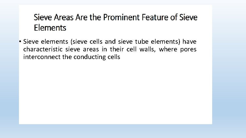  • Sieve elements (sieve cells and sieve tube elements) have characteristic sieve areas