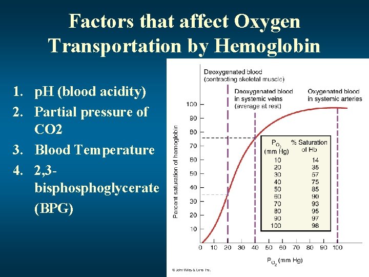 Factors that affect Oxygen Transportation by Hemoglobin 1. p. H (blood acidity) 2. Partial