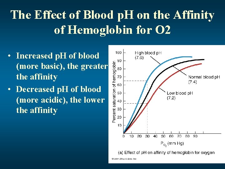 The Effect of Blood p. H on the Affinity of Hemoglobin for O 2