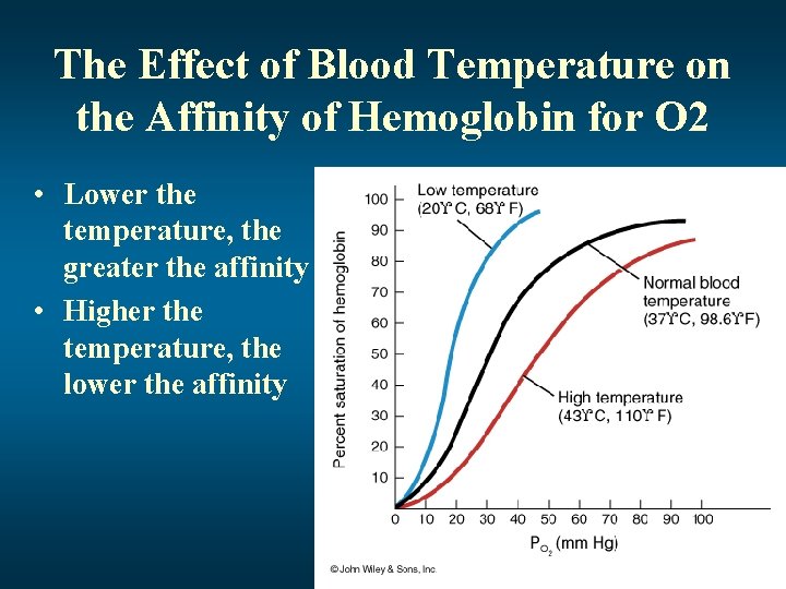 The Effect of Blood Temperature on the Affinity of Hemoglobin for O 2 •