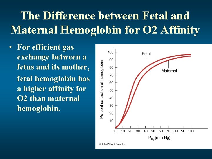 The Difference between Fetal and Maternal Hemoglobin for O 2 Affinity • For efficient