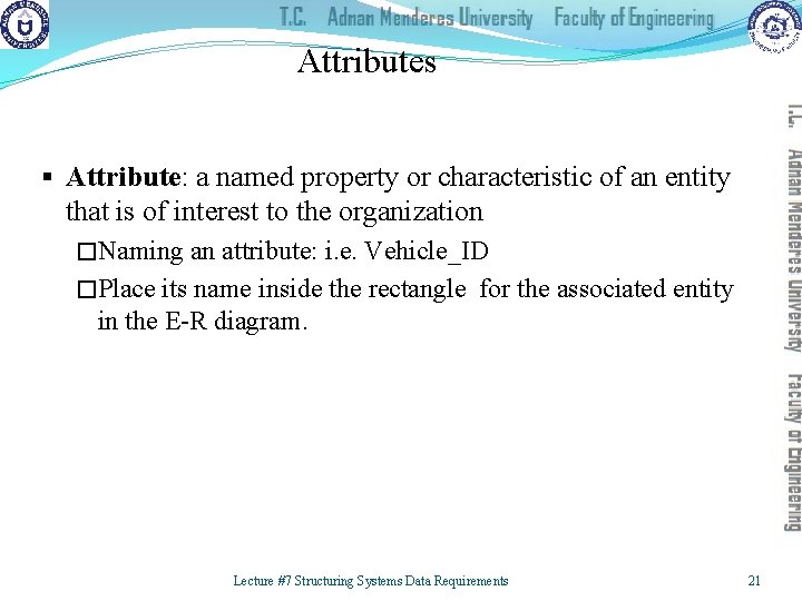 Attributes § Attribute: a named property or characteristic of an entity that is of