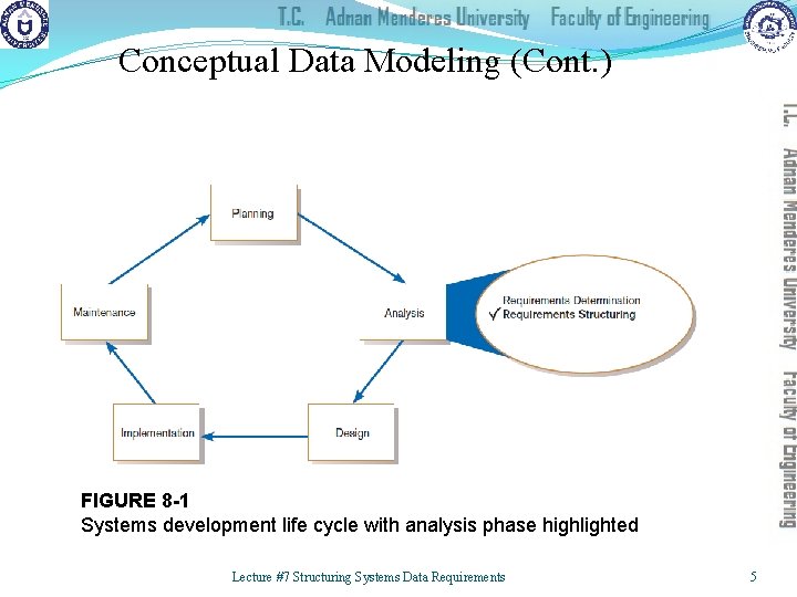 Conceptual Data Modeling (Cont. ) FIGURE 8 -1 Systems development life cycle with analysis